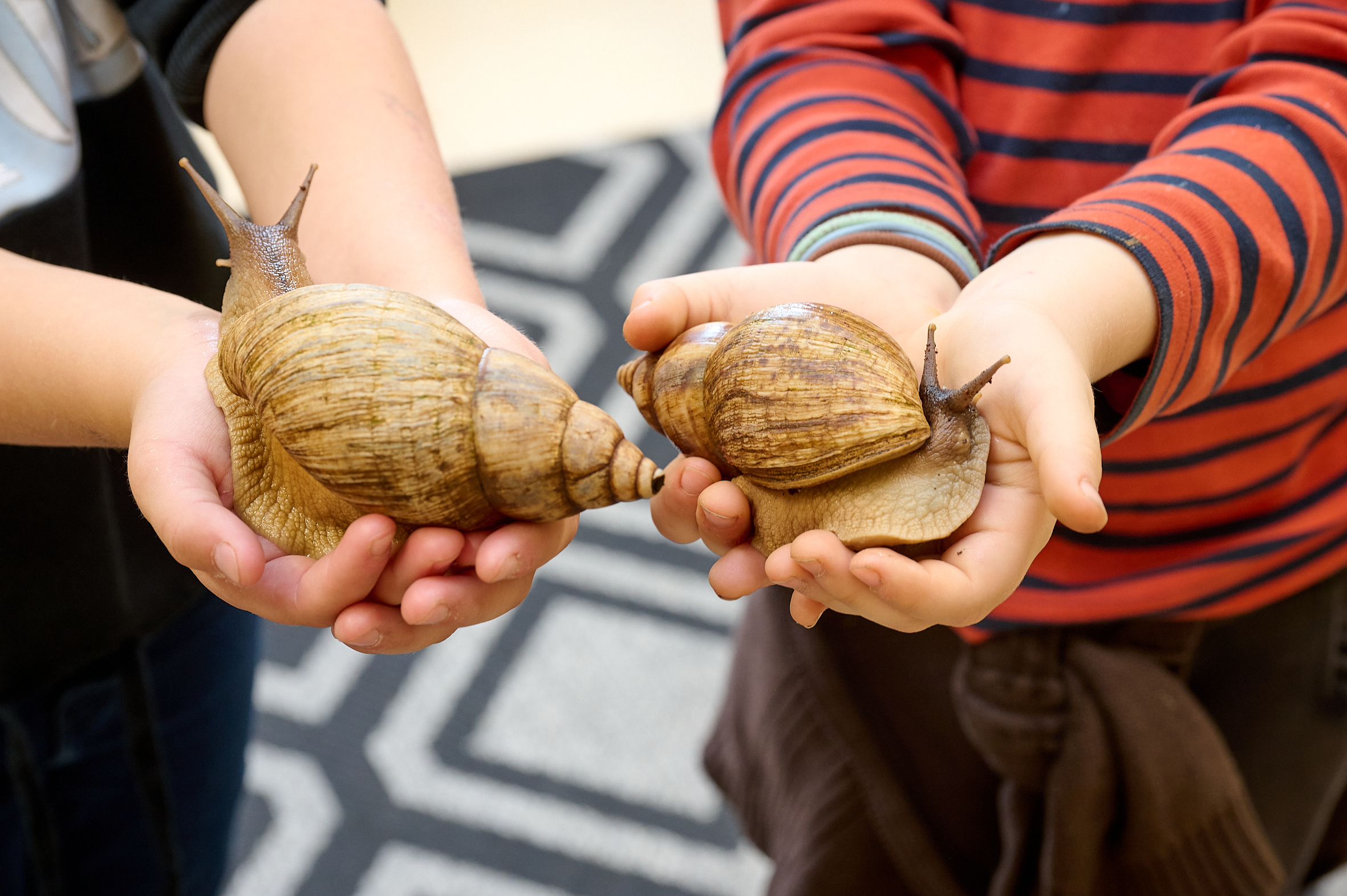 Kiga_Zauberwald__DSC3055